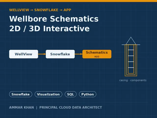 Wellbore schematics application thumbnail